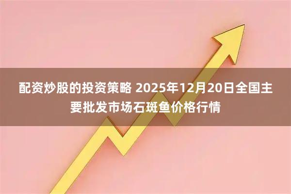 配资炒股的投资策略 2025年12月20日全国主要批发市场石斑鱼价格行情